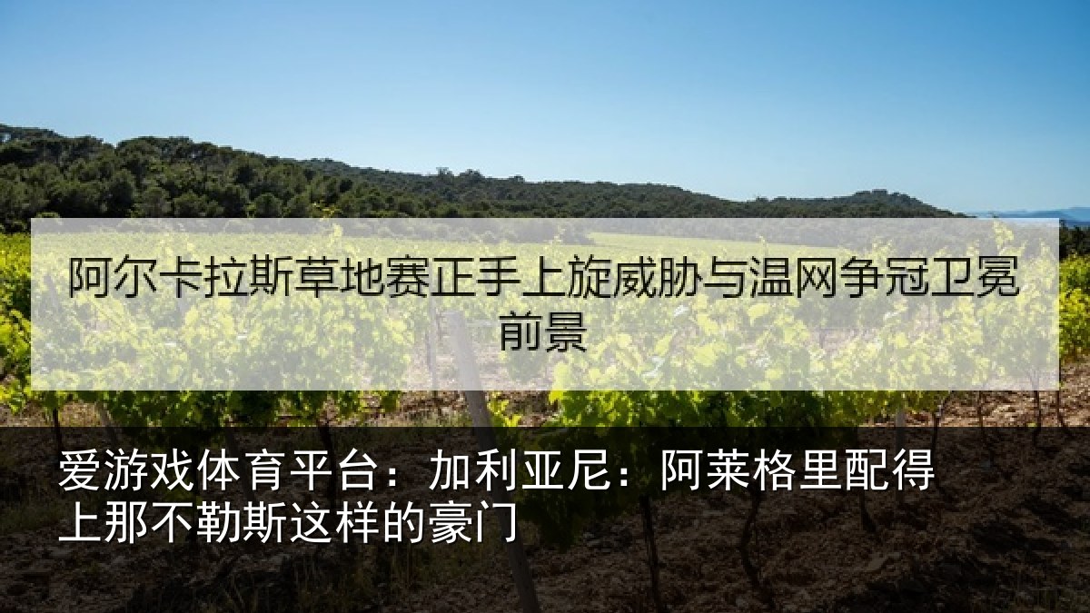 爱游戏体育平台：加利相关情况上那相关情况